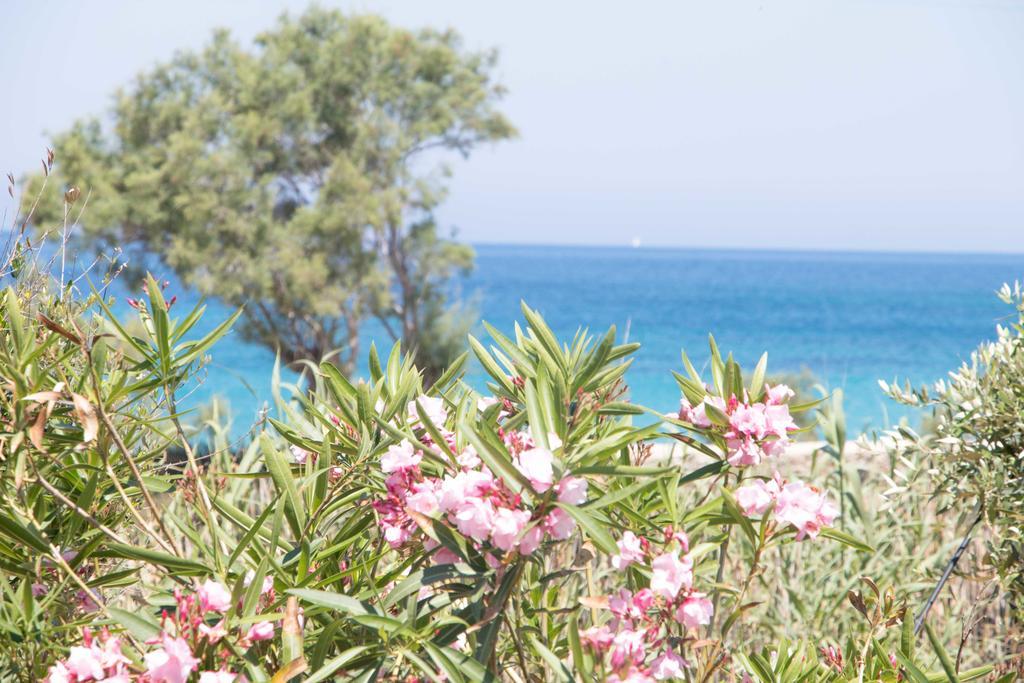 Villa Yialos Antiparos Exterior photo
